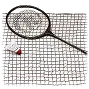 Carron Badminton Economy Net