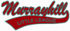 Murrayhill Window Decal Red/Teal